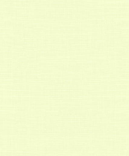 Marburger Tapete 55604 marburg Basic 2023